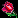 http://the-lost-realm.com/images/rose.gif
